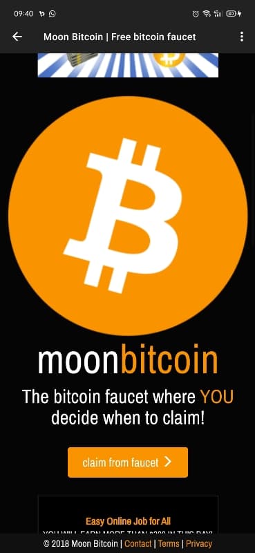 979761_4.jpg