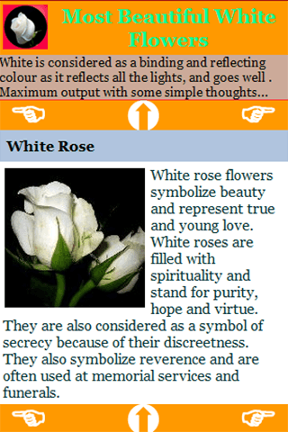 854018_3.png