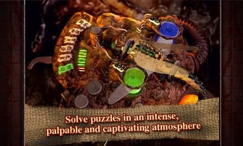 906936_5.jpg