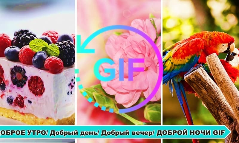 972770_2.jpg