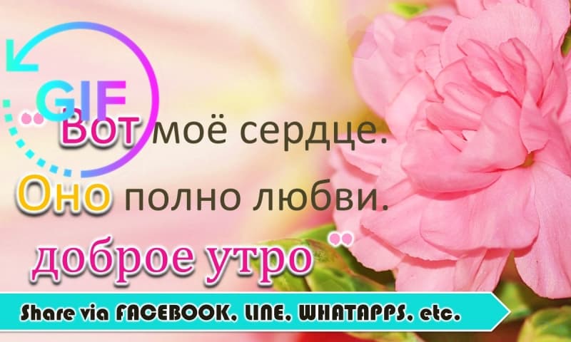 972770_3.jpg