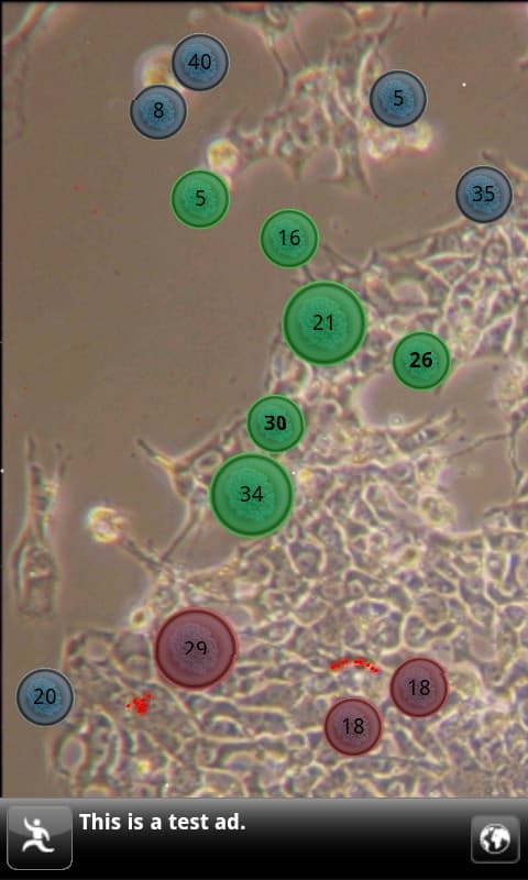 802737_2.jpg