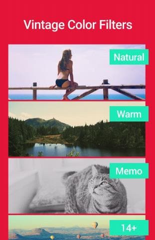 900720_6.jpg
