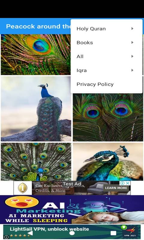 986167_3.jpg