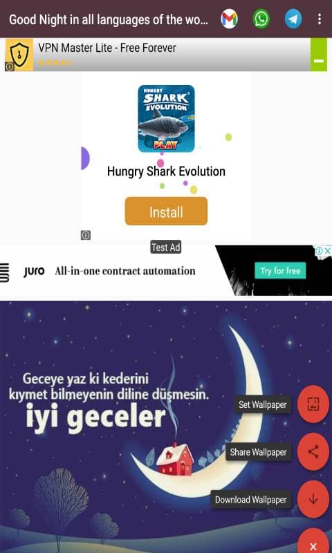 985281_3.jpg